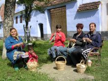 Frauen stricken Socken